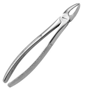 Upper Incisors Roots