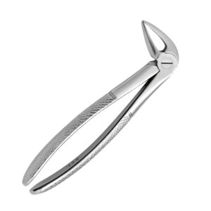 Lower Incisors Premolar & Roots