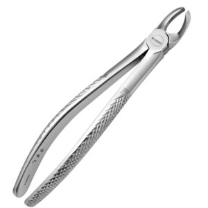 Upper Molars Left Pedodontics