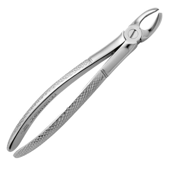 Upper Molars Right Pedodontics