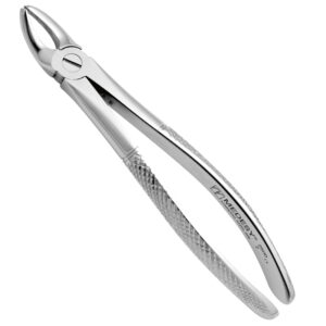 Upper Third Molars