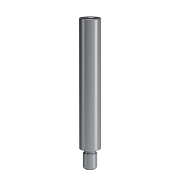 Transfer Screw