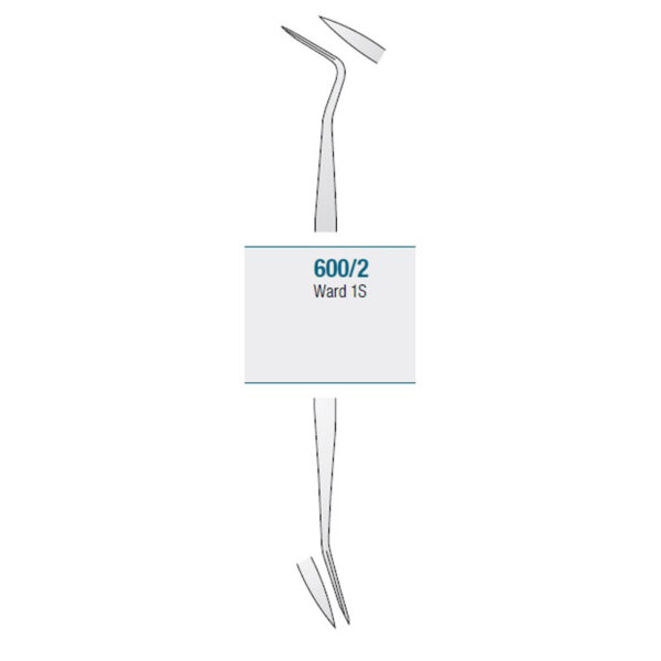 Amalgam Carver Ward 1S