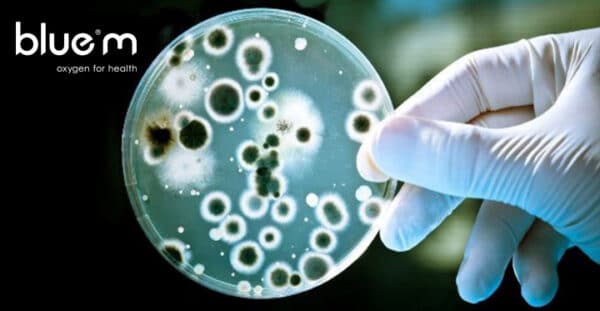 BREAKING NEWS:  BLUE®M vs CHLORHEXIDINE IN-VITRO RESULTS
